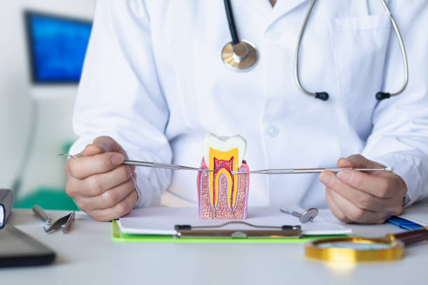 Best Tooth Infection Emergency Dentist  in Bent Creek, NC